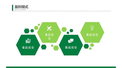 綠色食品商業(yè)創(chuàng)業(yè)計(jì)劃書